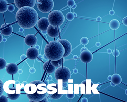 Crosslink